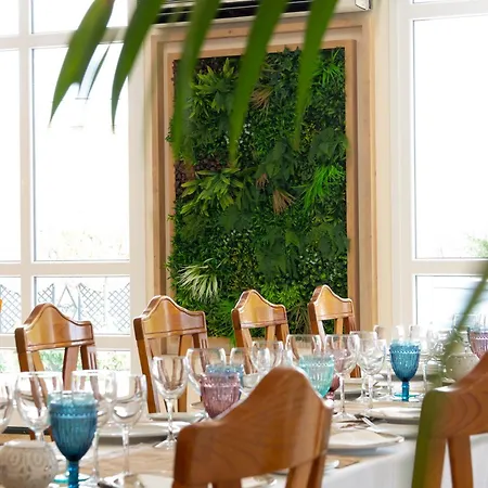 Restaurante El Cary Montemayor